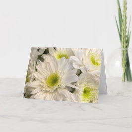 デイジー春 カード