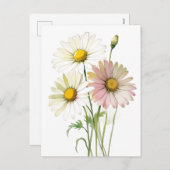 デイジー水彩花モダンプロフェッショナル シーズンポストカード (正面/裏面)