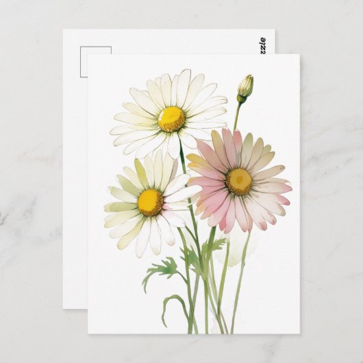デイジー水彩花モダンプロフェッショナル ポストカード (正面/裏面)