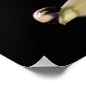 デイジー液滴 ポスター (角)