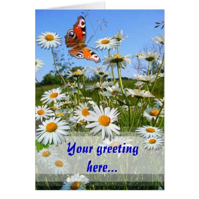 デイジー牧草地～カード (正面)