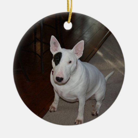 デイジー犬のクリスマスのオーナメント セラミックオーナメント (正面)
