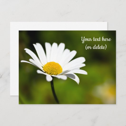 デイジー独身のはがき ポストカード (正面/裏面)