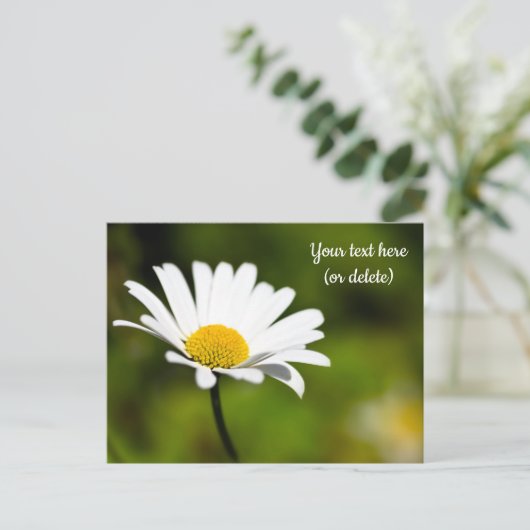 デイジー独身のはがき ポストカード (スタンド正面)