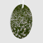 デイジー畑アラスカン野花 オーナメント (正面)