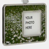 デイジー畑アラスカン野花 シルバープレートフレームオーナメント (右)