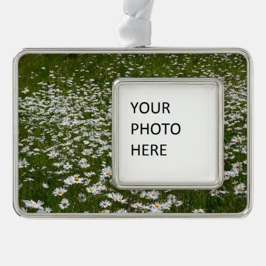 デイジー畑アラスカン野花 シルバープレートフレームオーナメント (正面)