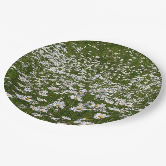 デイジー畑アラスカン野花 ペーパープレート (アングル)