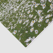 デイジー畑アラスカン野花 薄葉紙 (詳細)