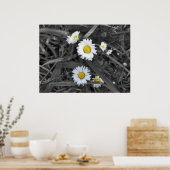 デイジー白黒と黄色プリント ポスター (キッチン)