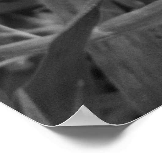 デイジー白黒と黄色プリント ポスター (角)