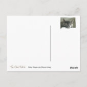 デイジー睡眠 ポストカード (裏面)