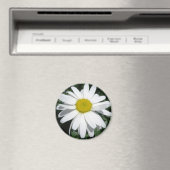 デイジー磁石 マグネット (インサイチュ (食洗機))