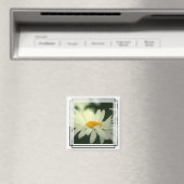 デイジー磁石 マグネット (インサイチュ (食洗機))