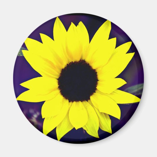 デイジー磁石 マグネット (正面)