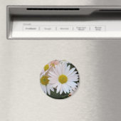 デイジー磁石 マグネット (インサイチュ (食洗機))