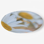 デイジー紙プレート ペーパープレート (アングル)