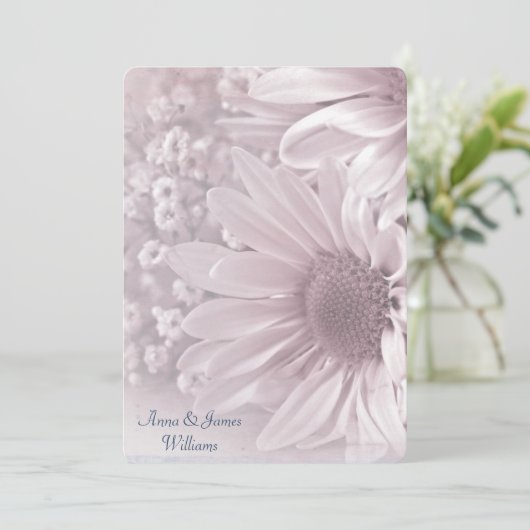 デイジー結婚の発願の更新 招待状 (スタンド正面)