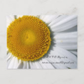 デイジー結婚式招待状と好意 インビテーションポストカード (裏面)