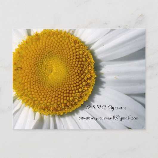 デイジー結婚式招待状と好意 インビテーションポストカード (裏面)