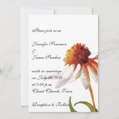 デイジー結婚式招待状白黒 招待状 (裏面)