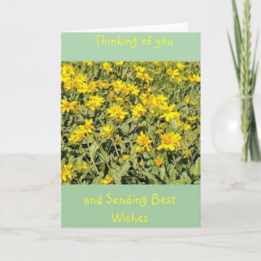 デイジー考えるの分野 カード (正面)