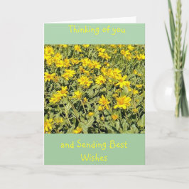 デイジー考えるの分野 カード