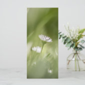 デイジー自然フォトカード (スタンド正面)