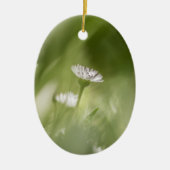 デイジー自然写真 セラミックオーナメント (正面)
