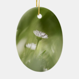 デイジー自然写真 セラミックオーナメント