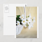 デイジー花と籐のバスケット ポストカード (正面/裏面)