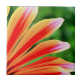 デイジー花びら タイル (正面)