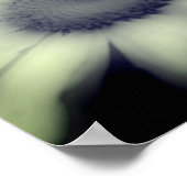 デイジー花クローズアップ黒白 ポスター (角)