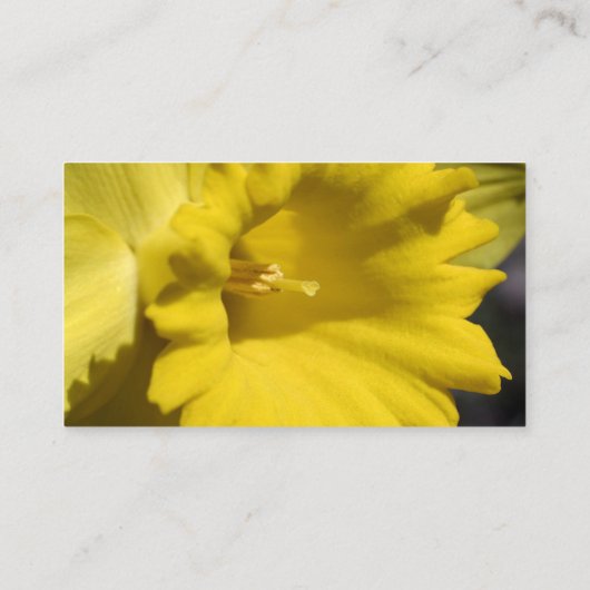 デイジー花写真事業カード 名刺 (裏面)