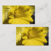 デイジー花写真事業カード 名刺 (正面/裏面)