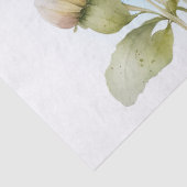 デイジー花水彩 薄葉紙 (詳細)