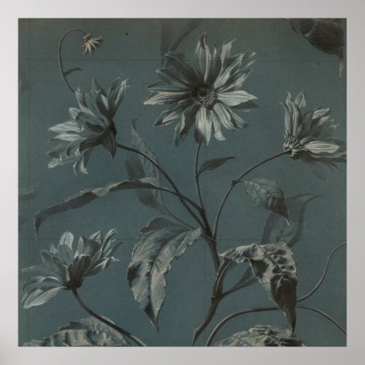 デイジー花灰色ビクトリアンヴィンテージイラストレーション ポスター (正面)
