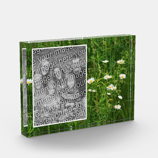 デイジー花畑に自分の花を追加 フォトブロック (左)