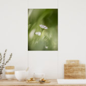 デイジー花自然写真 ポスター (キッチン)