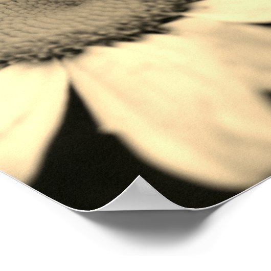 デイジー花雨粒セピア ポスター (角)