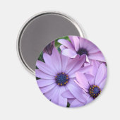 デイジー花1母の日ギフトカードマグカップ マグネット (正面/裏面)