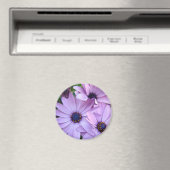 デイジー花1母の日ギフトカードマグカップ マグネット (インサイチュ (食洗機))