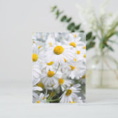 デイジー花 ポストカード (スタンド正面)