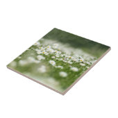 デイジー草原 タイル (側面)