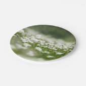 デイジー草原 ペーパープレート (アングル)