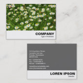 デイジー草原 名刺 (正面/裏面)