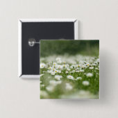 デイジー草原 缶バッジ (正面&裏面)