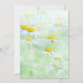 デイジー葬儀 | 命の祭り フォト 招待状 (裏面)