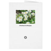 デイジー誕生日カード (裏面)