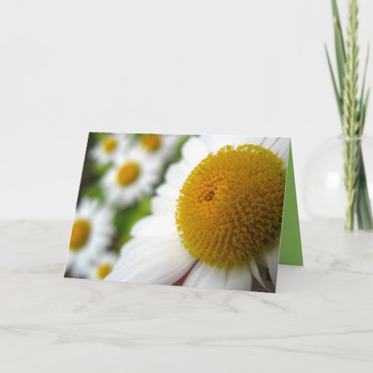 デイジー誕生日カード カード (正面)